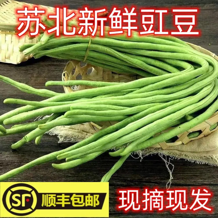 【顺丰包邮】苏北农家自种新鲜豇豆长豆角脆嫩蔬菜青油豆5斤包邮