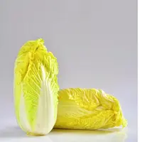 【顺丰包邮】农家自种霜冻娃娃菜小娃娃菜菜心露天种植现摘现发