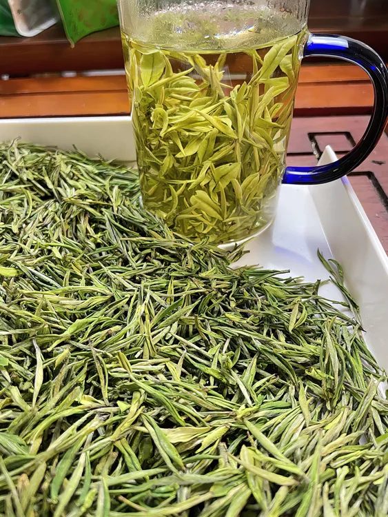 绿茶2024新茶明前品尝白茶毛峰鲜爽好喝兰花香待客送礼高端口粮茶