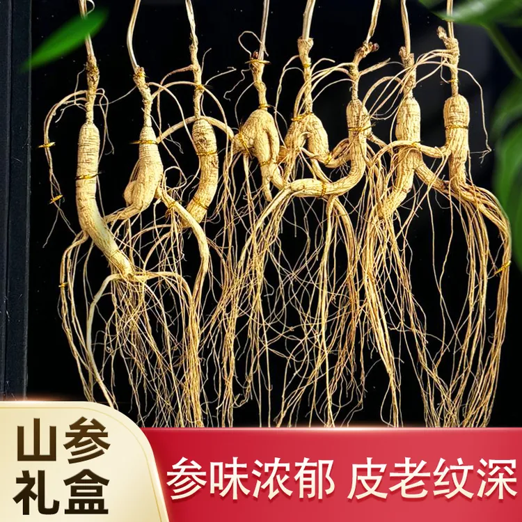 小开--东北长白山人参礼盒装山参林下参煲汤泡酒东北林下参