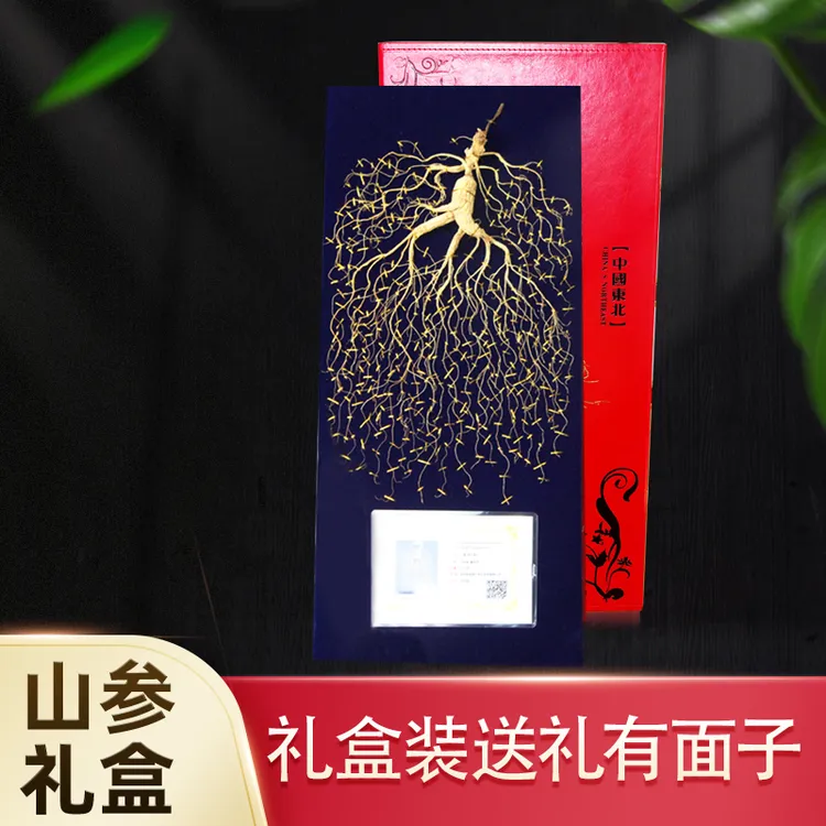 东北长白山人参礼盒装山参林下参煲汤泡酒人参生晒参东北林下参