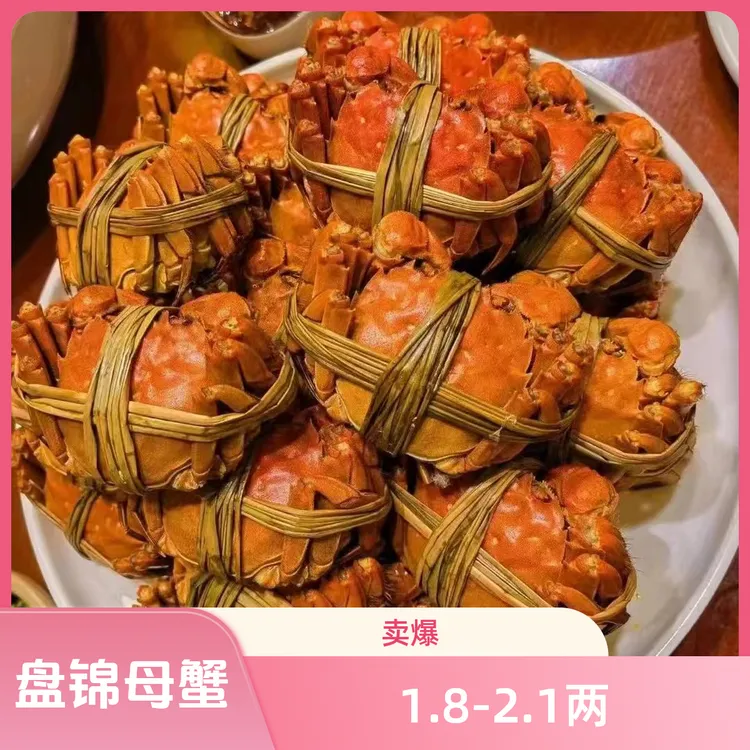 【活蟹】纯母蟹 江苏河蟹 单只1.8-2.1两 (到手8只) 顺丰直达
