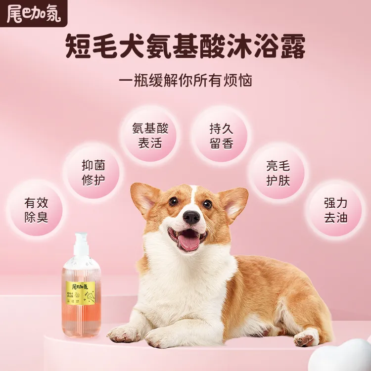【桑葚专属】尾巴加氛短毛犬氨基酸沐浴露