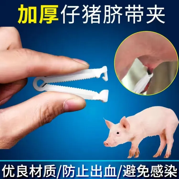 小猪用一次性脐带夹方便防滑仔猪使用护脐带小猪用断脐扣养猪设备