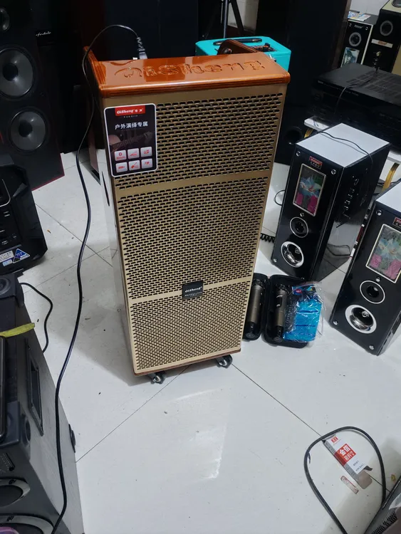 准新品 Qisheng/奇声 双十寸三分频有源音夹板的烤漆箱体，不包邮