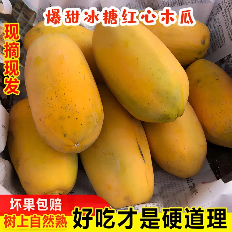 【树上熟】正宗冰糖红心牛奶木瓜 爆甜红心水果木瓜 新鲜应季水果
