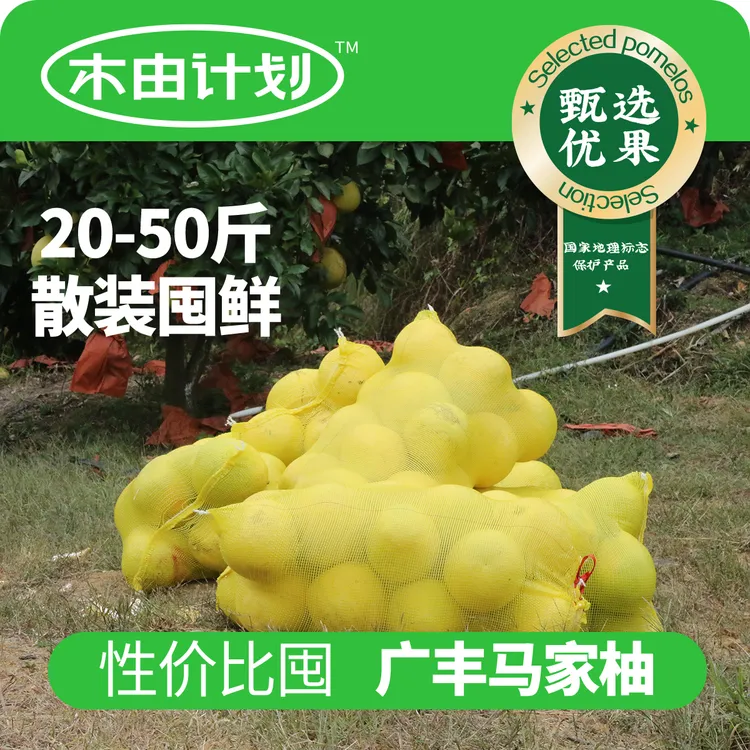 散装｜精选果广丰马家柚十年老树结果果品稳定清甜汁水足