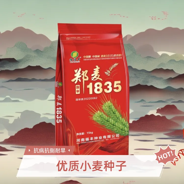郑麦1835小麦种子，院士选育，分子育种，大户首选！抗病抗冻抗倒高产
