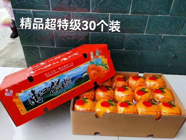 当季湖北清江椪柑现摘现发新鲜应季水果产地直发果园直供