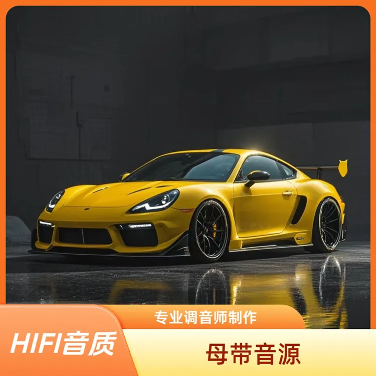 【正版授权】车载音乐u盘无损高音质母带灌录精选不挑车型即插即用