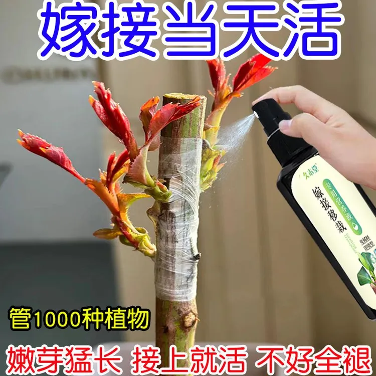 【巨好用】万能型植物嫁接促活液伤口愈合剂盆景植物嫁接月季果树