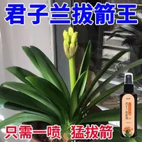 君子兰专用营养液 急救叶子发黄掉叶烂叶烂根促箭催开花免稀释