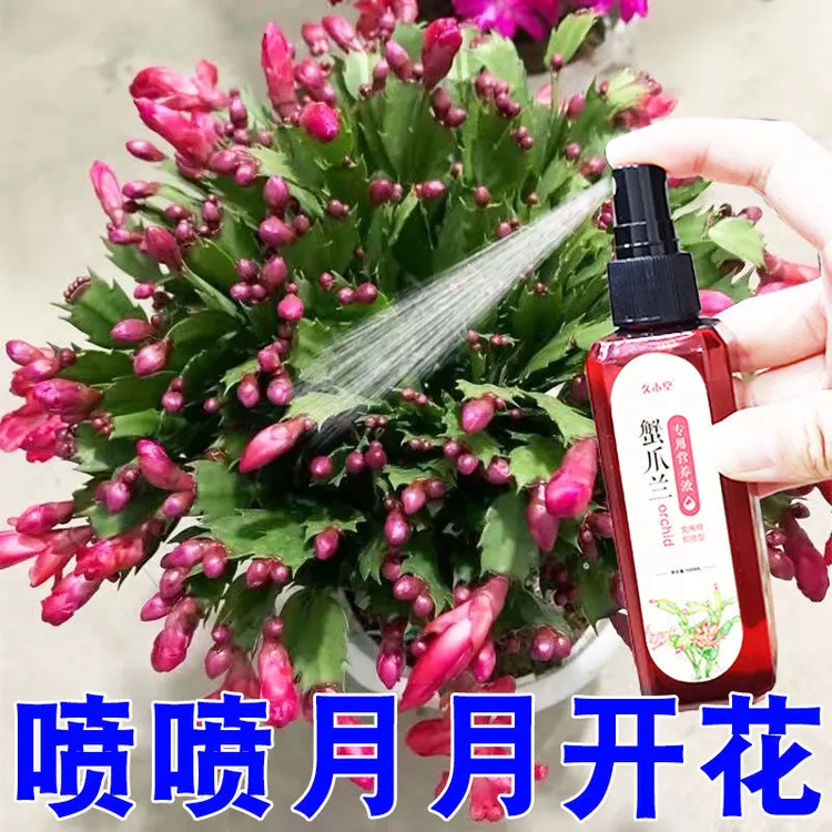 【急救蟹爪兰】蟹爪兰专用肥营养液催花肥料免稀释拯救黄叶生根