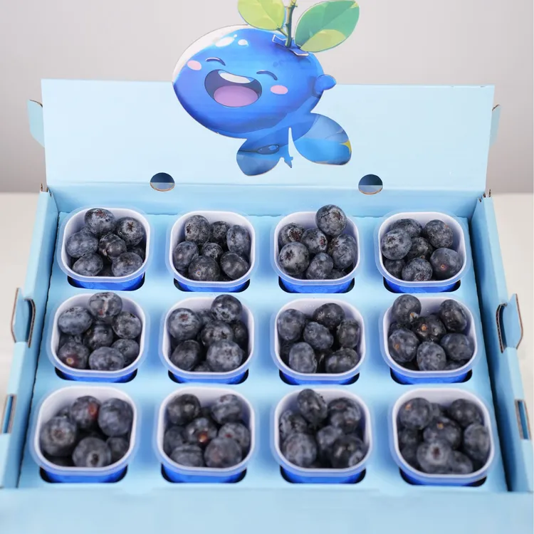 【巨无霸宝宝杯】秘鲁花香蓝莓大果18+mm 花香浓郁【顺丰京东包邮】