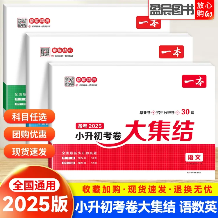 2025一本小升初总复习分类试卷语文数学英语六年级升学试卷