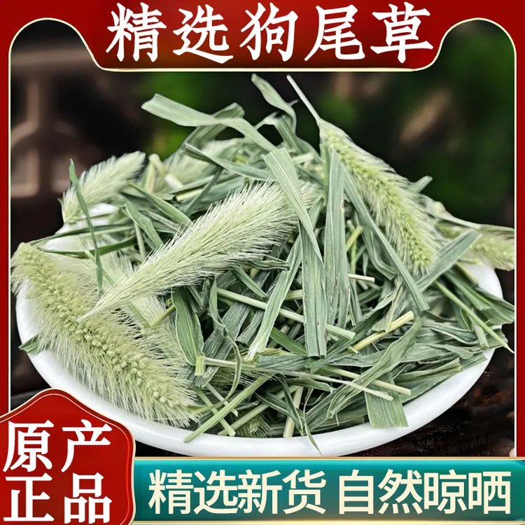 狗尾巴草煮水喝正品新鲜狗尾草干毛虫草谷莠子九尾草痣光明草泡水