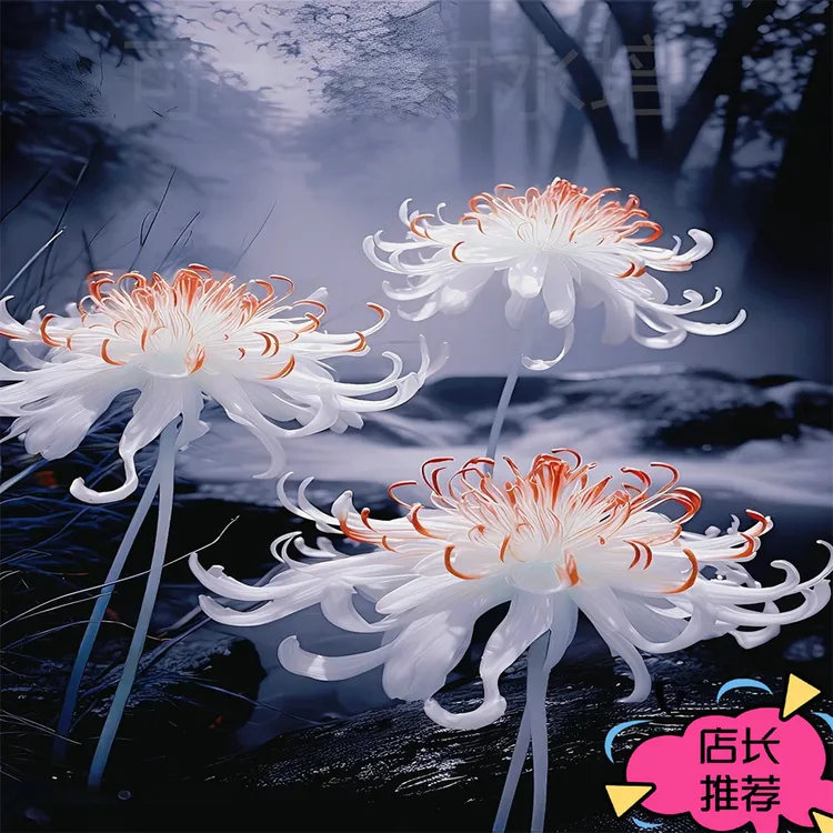 稀有曼珠沙华【冰火】彼岸花水培花卉植物种植花开耐寒耐热四季开花