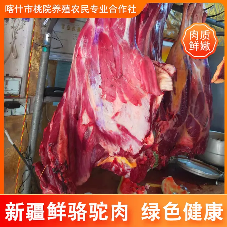 新疆骆驼肉新疆直发新店开业欢迎进店选购！3kg起发！包邮到家！