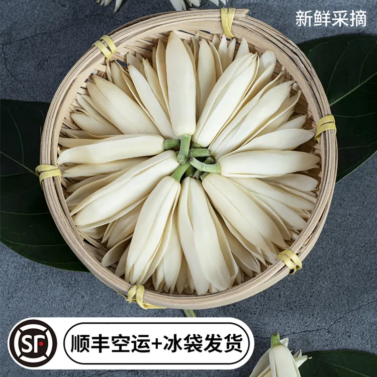 玉兰花鲜花朵白兰花新鲜采摘现摘花苞黄角兰黄果兰花朵白玉兰鲜花