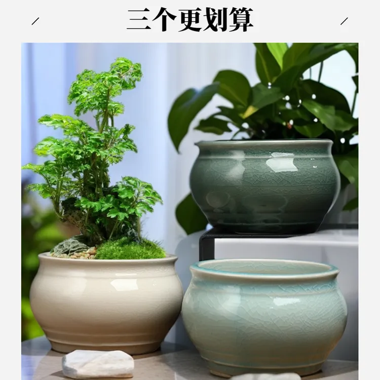 白色简约陶瓷花盆多肉花盆北欧风绿植盆栽花盆带植物底托白瓷花盆