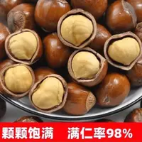 小熊树下新货东北大榛子新鲜烘烤原味大榛子达维大榛子