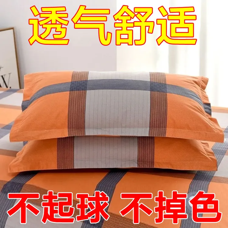 新款枕头套一对单人成人大号加厚100简约枕套秋冬一只磨毛枕头皮