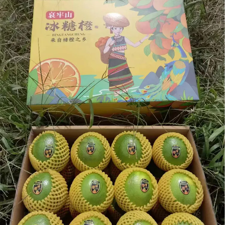 云南冰糖橙子高原新鲜水果阳光青皮孕妇当季9斤包邮现摘现发礼盒