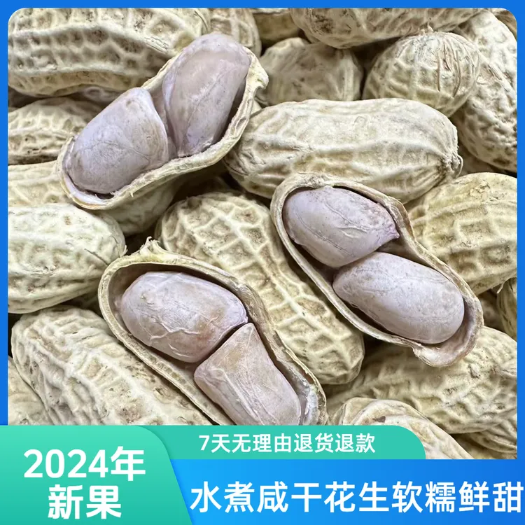 【25年新果白肉】水煮日晒咸干花生软口坚果零食软糯鲜甜好吃双十一