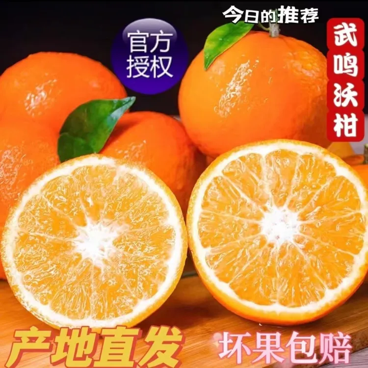 正宗云南高山沃柑斤5/8斤当季新鲜水果现摘发货整箱包邮坏果包赔