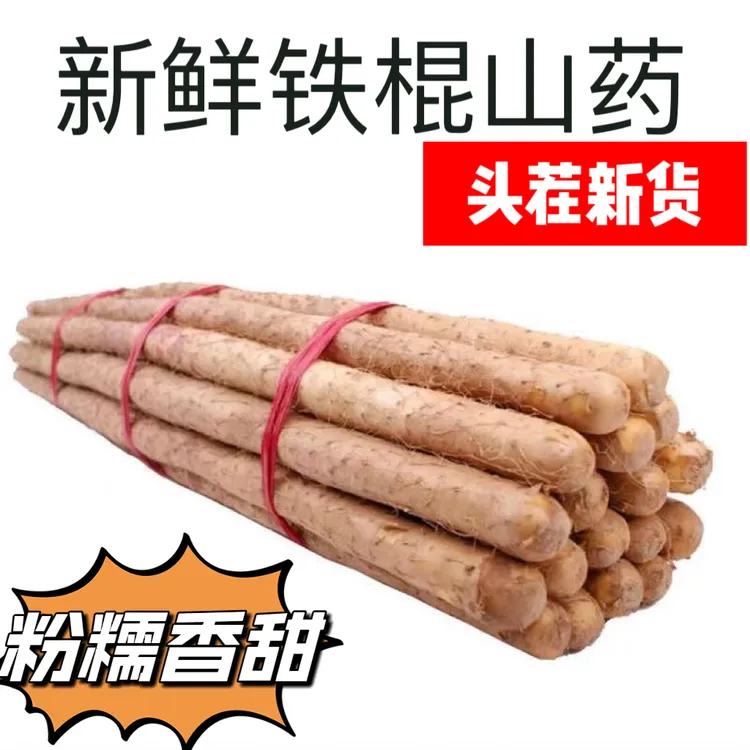 铁棍山药软糯香甜营养高产地直发5斤装原产地垆土山药50-70cm