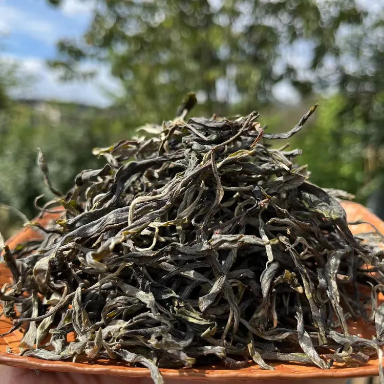 2023年云南普洱生茶【昔归单株】散茶