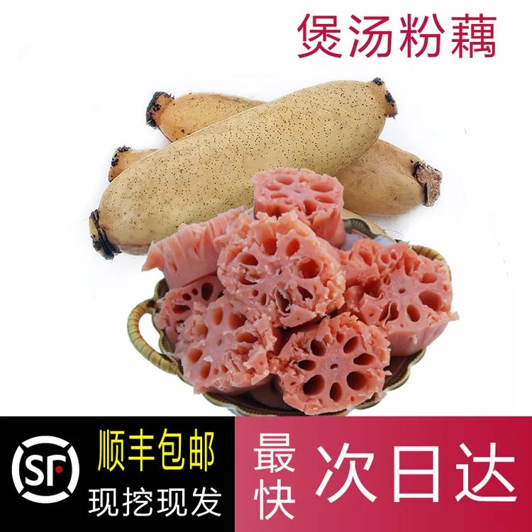 新鲜粉藕洪湖粉藕湖北特产正宗煲汤粉藕煲汤粉糯香 现挖现发