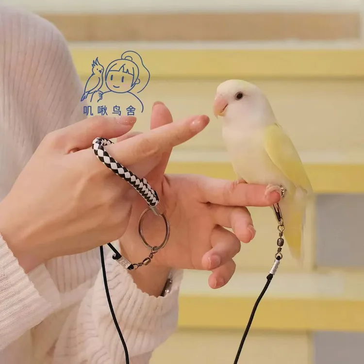 叽啾鸟舍自制放飞绳外出绳鹦鹉专用滋养丸鹦鹉说话训练鹦鹉牵引绳