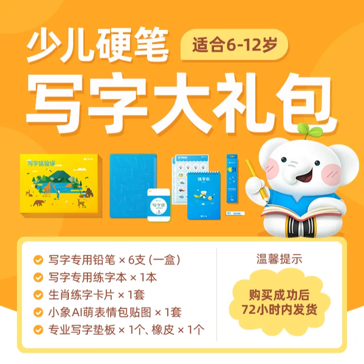 【推荐】河小象小学生专用6天写字教具大礼盒  6周年升级版