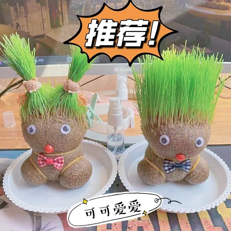 创意长草头娃娃迷你小植物盆栽室内阳台网络同款可爱桌面摆件礼物