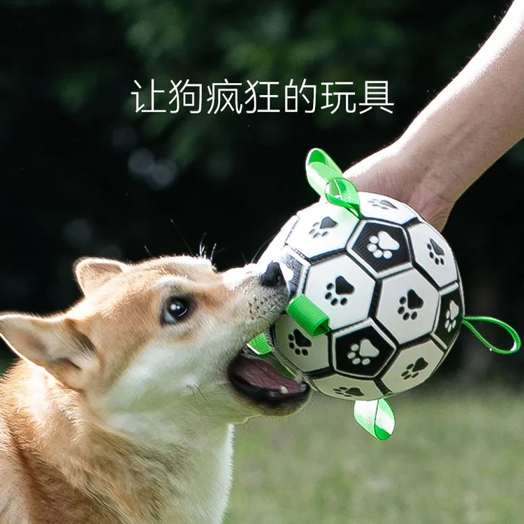 狗狗训练互动足球玩具柴犬柯基橡胶球类磨牙耐咬小大型犬逗狗4360