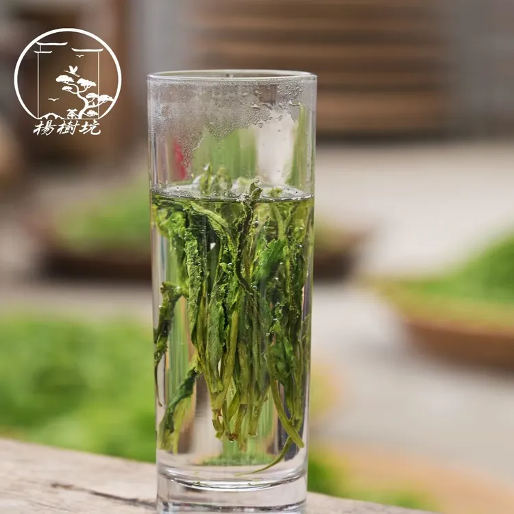 【体验款】2025年太平猴魁新茶核心产区猴坑村茶王土种老树一罐125g