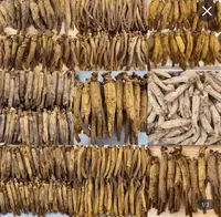 【东北好物】漉筋筋