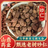 山鼎药业【砂仁】中药材砂仁果 泡水砂仁茶 无硫
