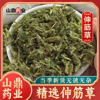 山鼎药业【伸筋草】正品生筋草 筋骨草 小舒筋草 搭配透骨草