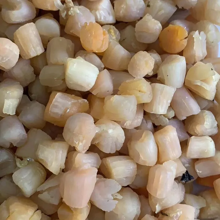 【鸿敏水产】福建东山中大干贝500g