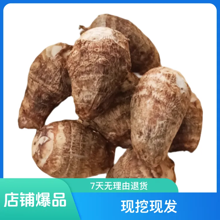 芋头农家新鲜毛芋山东牛奶芋软糯香甜现挖现发老品种拉丝芋