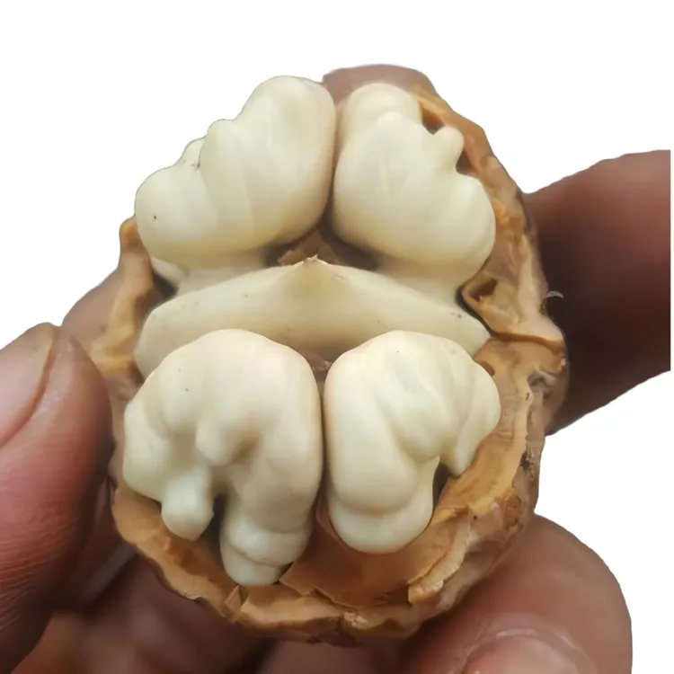（顺丰包邮）云南老树鲜核桃湿核桃去青皮3/5斤孕妇水果核桃新鲜