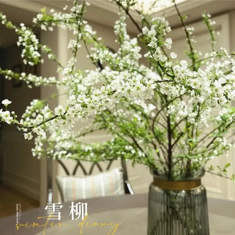 【雪柳鲜切花】冬季浪漫氛围感满满 枝条形态灵动 遇水开花