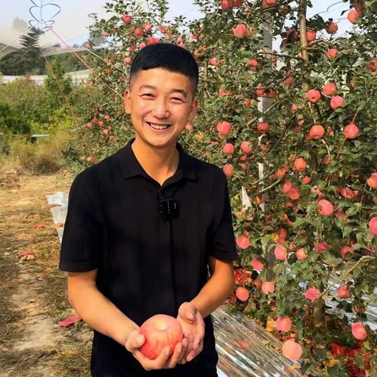 陕西秦脆苹果脆甜无渣