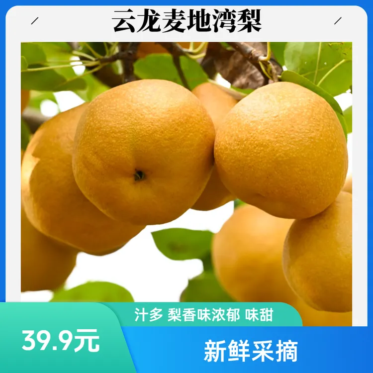 大理云龙新鲜采摘大神庄山地梨 （丰水梨/麦地湾梨）整箱