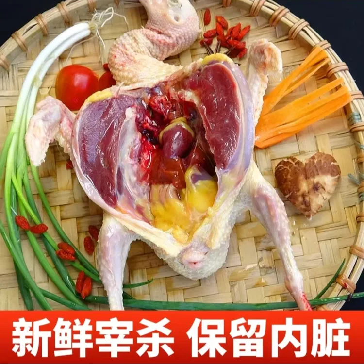 唯渡生态纯五谷杂粮喂养乳鸽   生态绿色食品      2只顺丰包邮