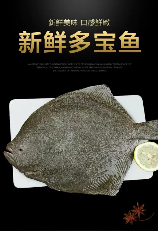 7条多宝鱼鲜活速冻冷冻大比目鱼偏口鱼八宝鱼左口鱼扁口鱼烧烤