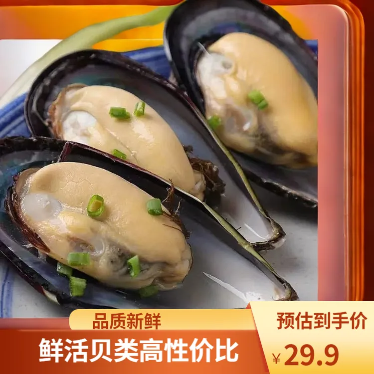 鲜活整箱3/5/10斤特大青口贝新鲜大海虹淡菜贻贝 贝类水产