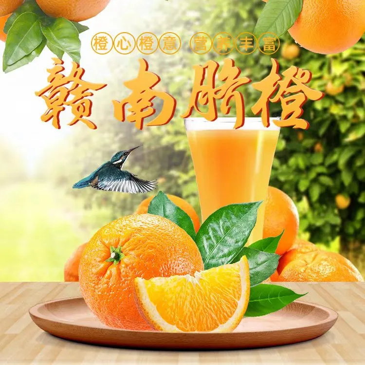 赣南正宗寻乌脐橙自家果园直销